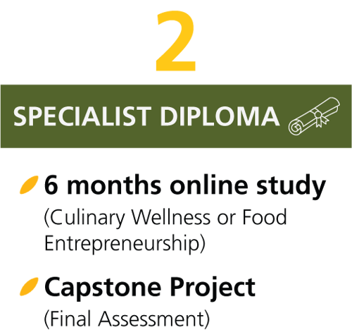 Asset 17@4x-2 Asset 17@4x-2