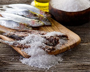 8-survival-preservation