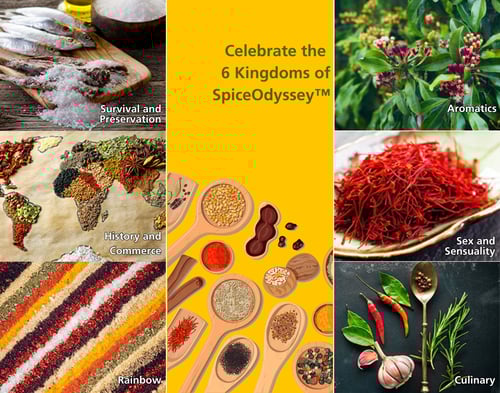 SpiceOdysey-Feb-25-2026-06-56-41-6954-AM