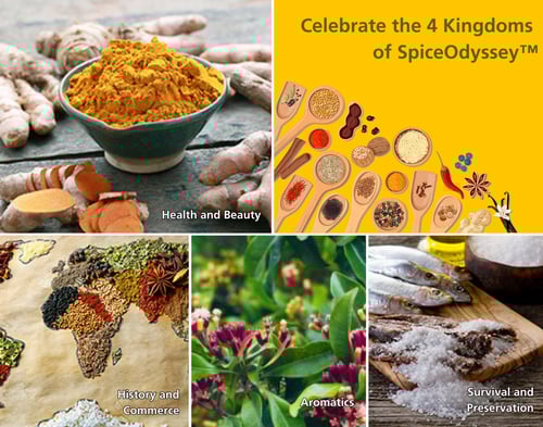 SpiceOdysey-Sep-22-2025-10-37-41-1109-AM