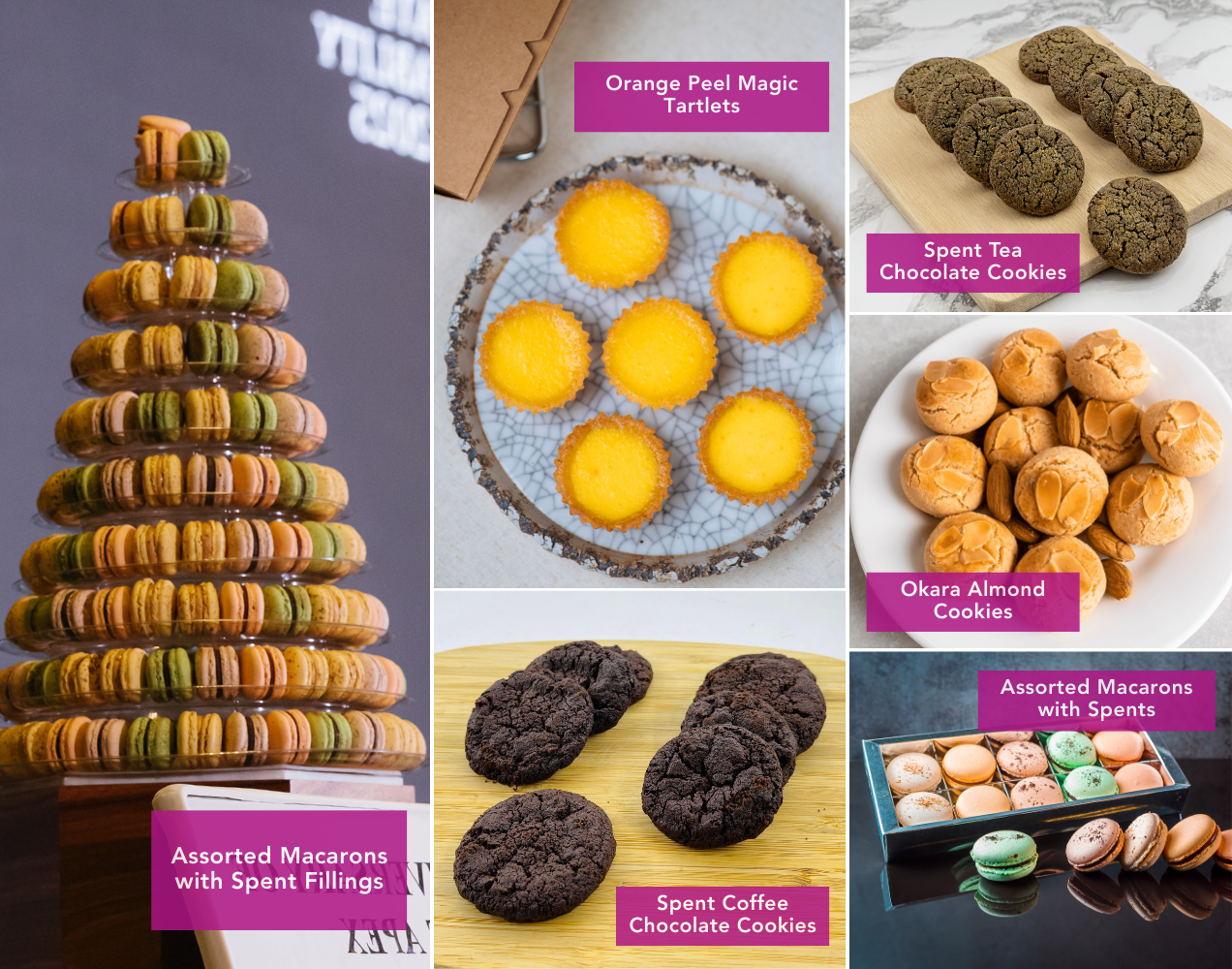 2025 Sunday Luxe Series EDMVDM (1)